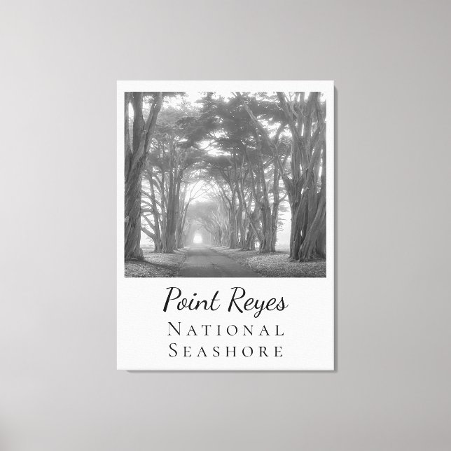 Point Reyes  Canvas Print (Front)