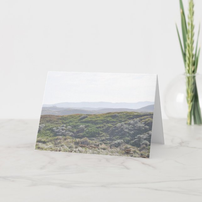 Point Reyes Hillside - carte de voeux (Devant)