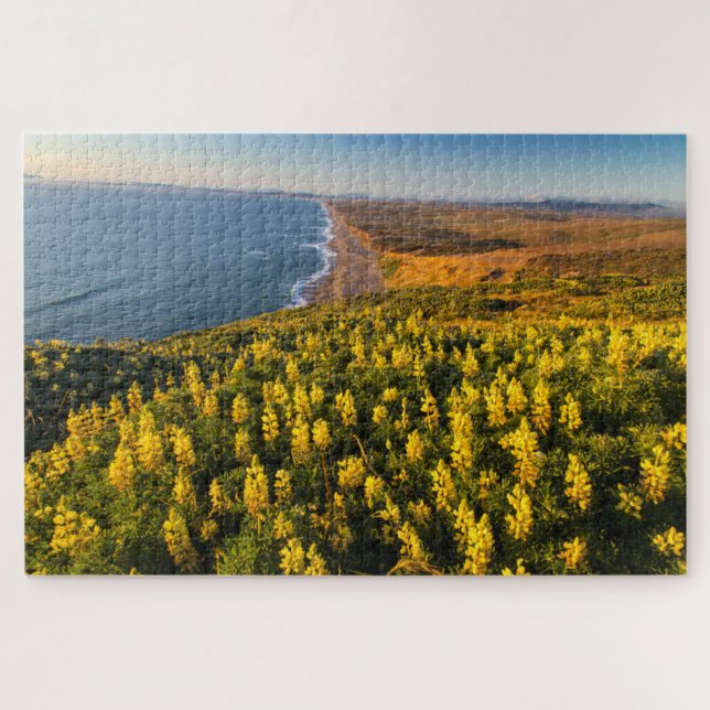 Point Reyes National Seashore California Jigsaw Puzzle (Horizontal)