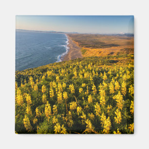 Point Reyes National Seashore California Magnet