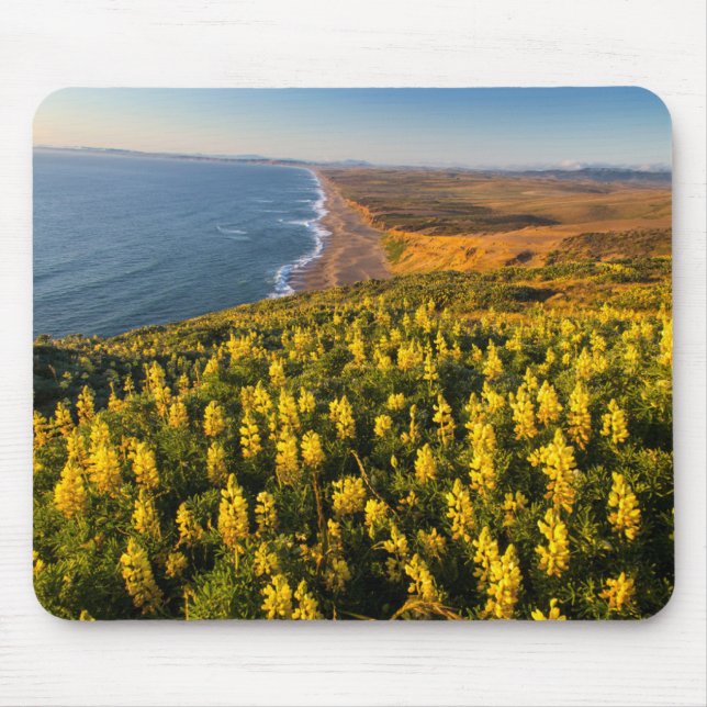 Point Reyes National Seashore California Mouse Pad (Front)