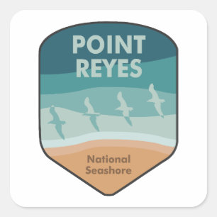 Point Reyes National Seashore California Seagulls Square Sticker
