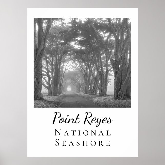 Point Reyes  Poster (Front)