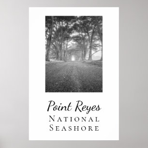 Point Reyes  Poster