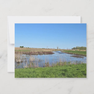 Pointe Mouillee, South Rockwood Michigan Postcard