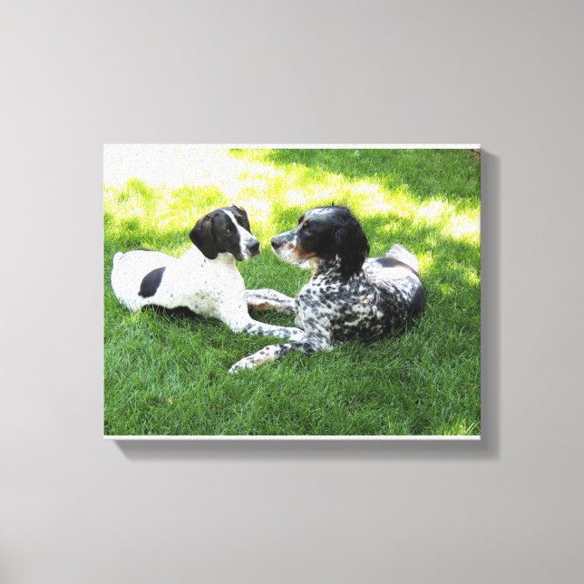 Pointer and Setter Canvas Print (Front)