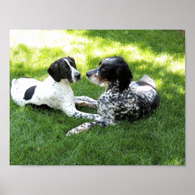 Pointer and Setter Love Poster (Front)