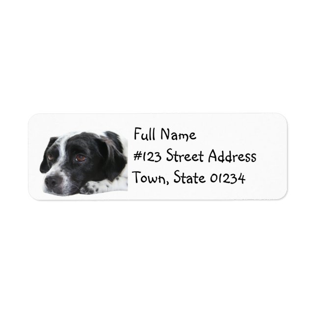 Pointer Dog Return Address Label (Front)