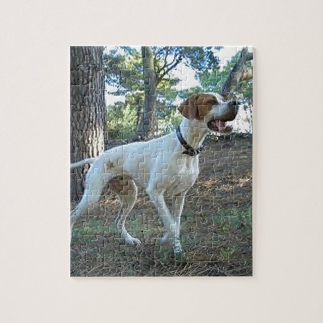 pointer full pointing jigsaw puzzle (Vertical)