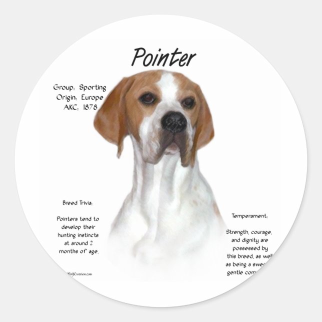 Pointer History Design Classic Round Sticker (Front)