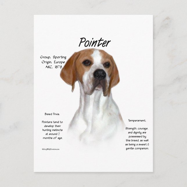 Pointer History Design Postcard (Front)