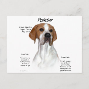 Pointer History Design Postcard