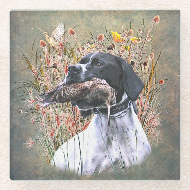 Pointer,  Hunting Woodcock       Beverage Coaster (Front)