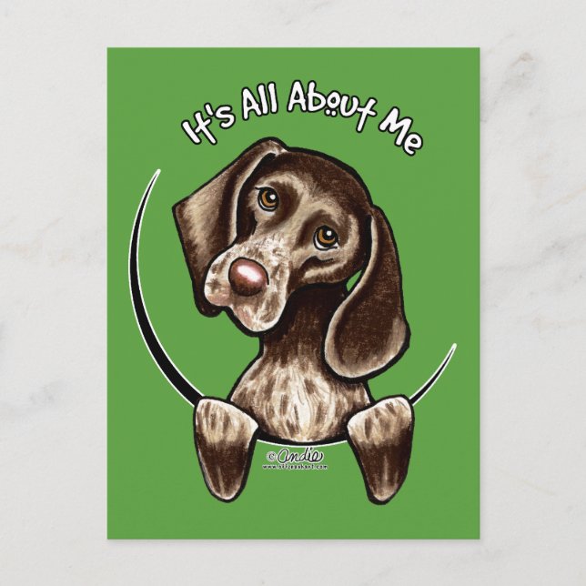 Pointer IAAM Postcard (Front)