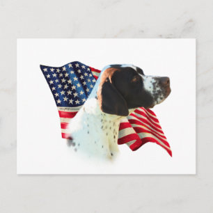 Pointer (liver)  Flag Postcard