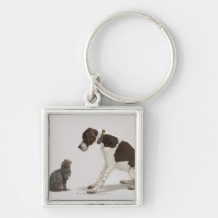 Pointer looking down at cat keychain