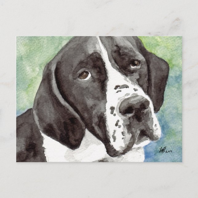 Pointer Postcards (Front)