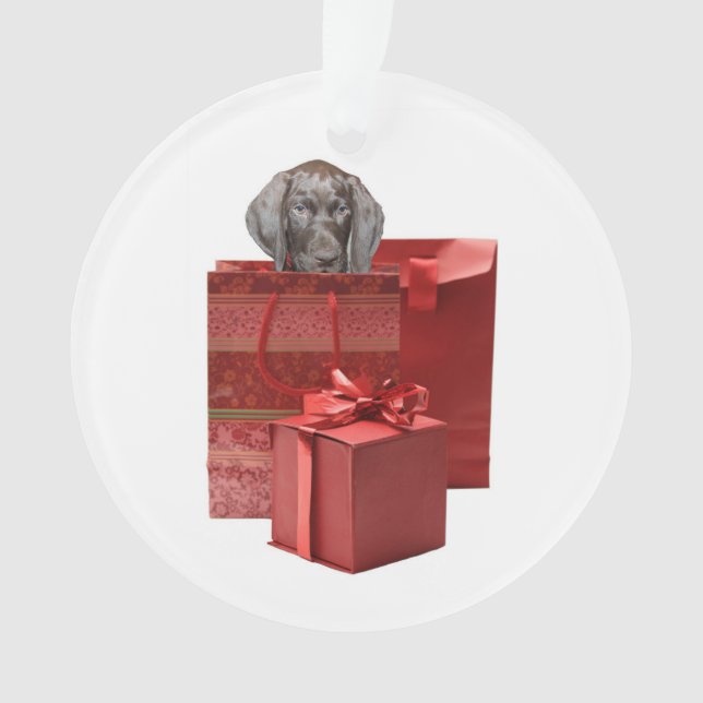 Pointer Puppy Christmas Gift Ornament (Front)
