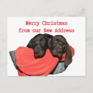 Pointer Sisters New Address Christmas Postcard