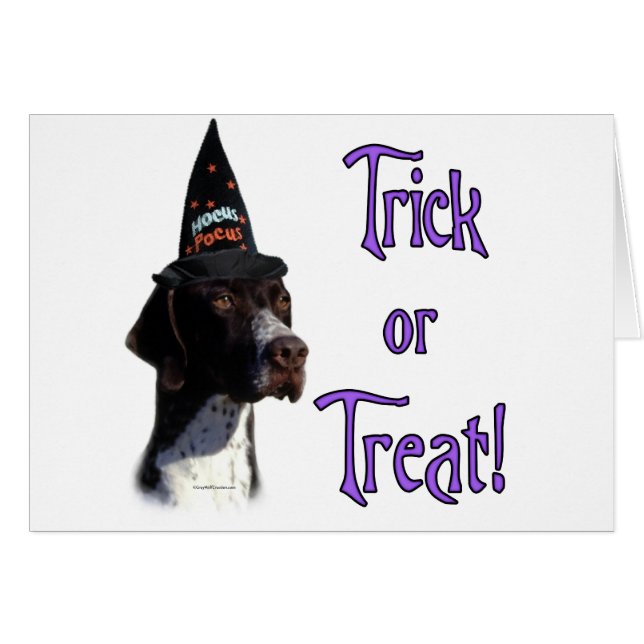 Pointer Trick (Front Horizontal)