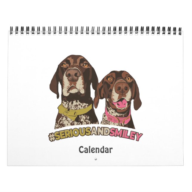 PointerProblems Calendar (Cover)