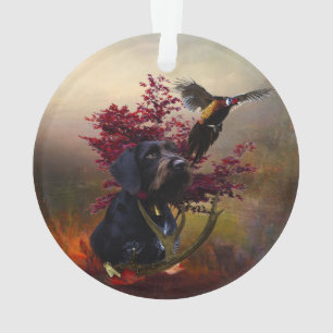 Pointeur À poils durs allemand