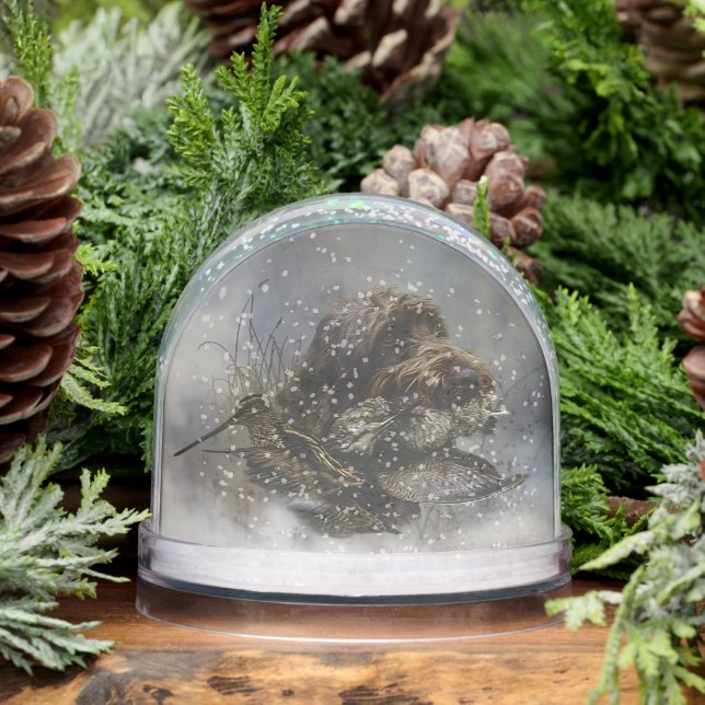 Pointeur À poils durs allemand, Chasse (Hiver)