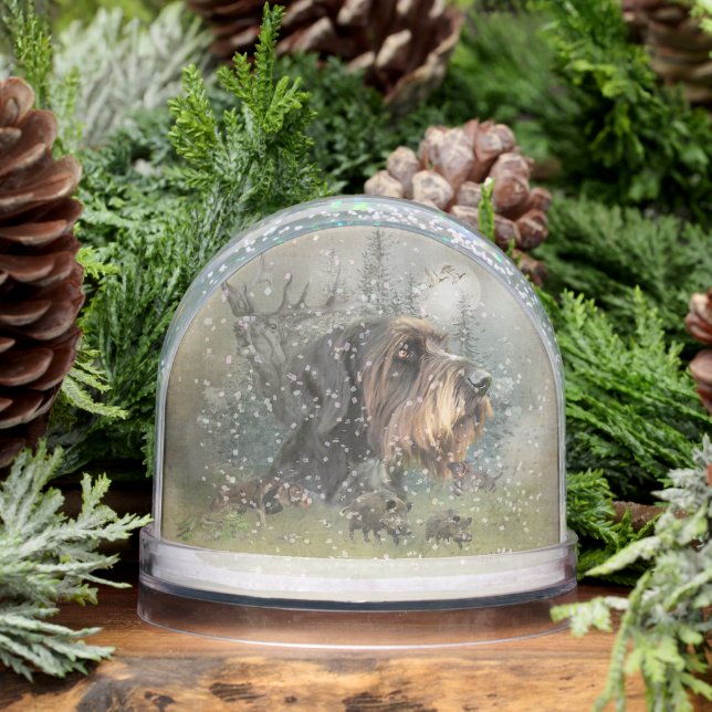 Pointeur À poils durs allemand, Chasse (Hiver)