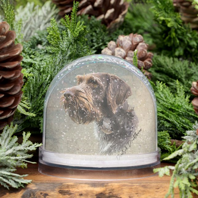 Pointeur À poils durs allemand, Chasse (Hiver)