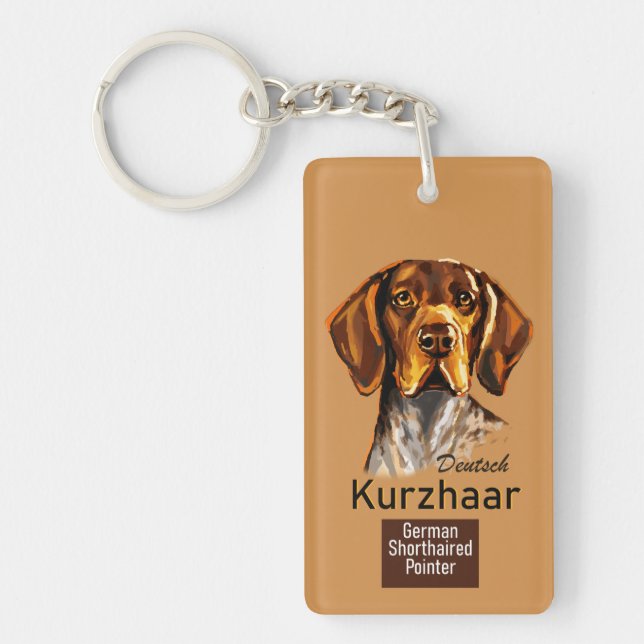 Pointeur allemand à courte longueur Kurzhaar (Devant)