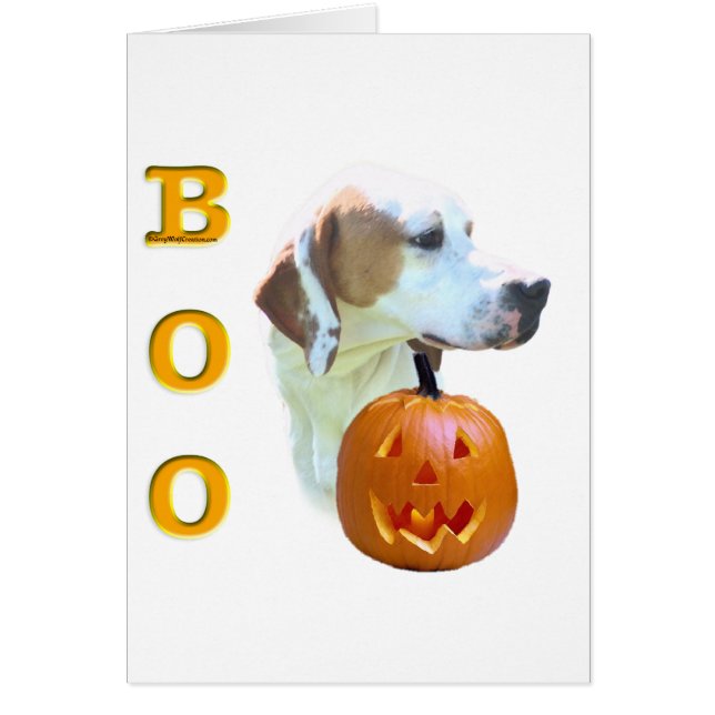 Pointeur (Lait De Citron) Boo (Devant)