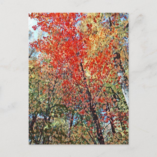 pointillism forest postcard (Front)