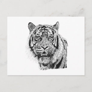 Pointillism Tiger Head Black & White Wildlife Art Postcard