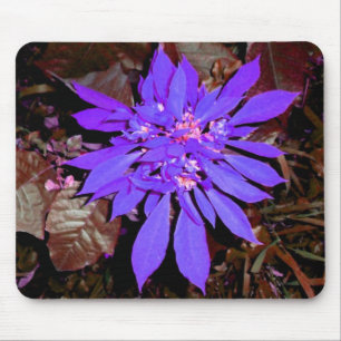 Pointsettia 4 mouse pad