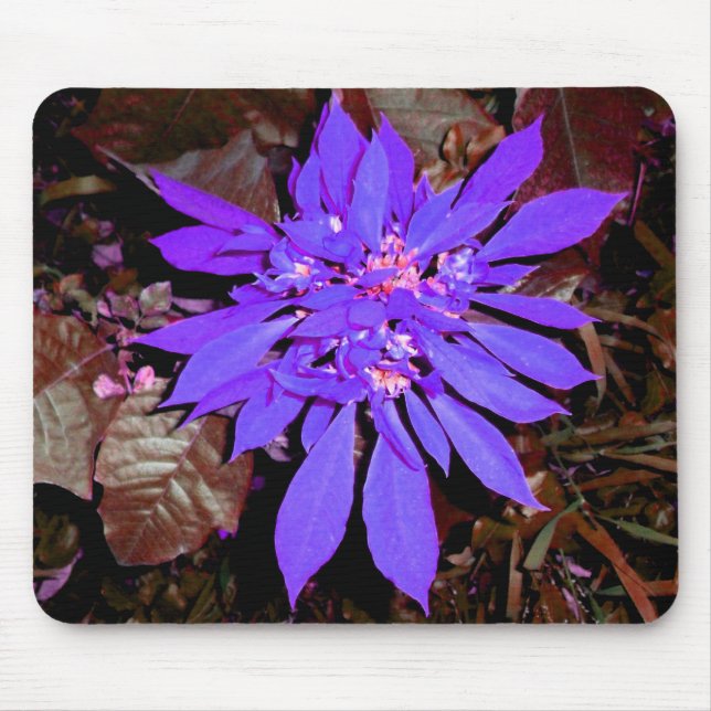 Pointsettia 4 mouse pad (Front)