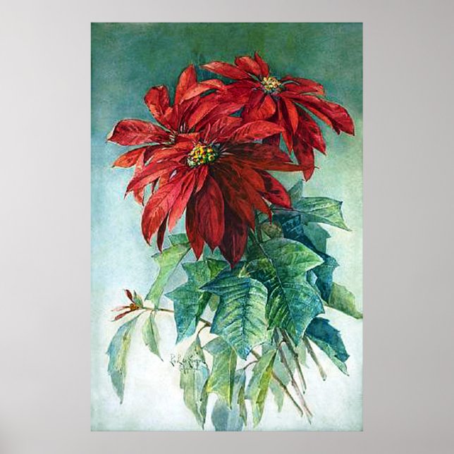 Pointsettias Watercolor Fine Art Print (Front)