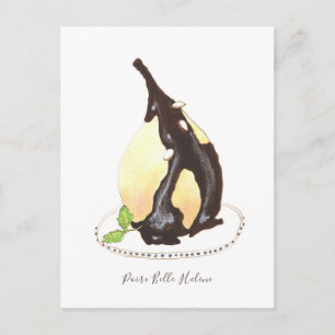 Poire Belle Helene Postcard
