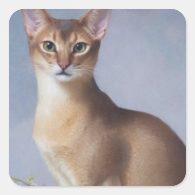 Poised Abyssinian – Elegant Cat Sticker (Front)