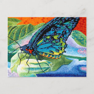Poised Butterfly II Postcard