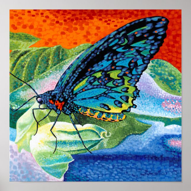 Poised Butterfly II Poster (Front)