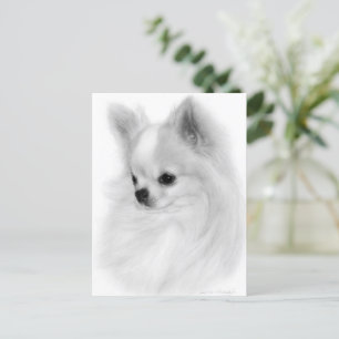 Poised Chihuahua Hand Painted Portrait Postcard