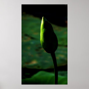 Poised for greatness poster