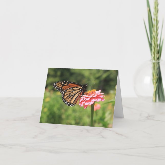 Poised Monarch Butterfly Note Card (Front)