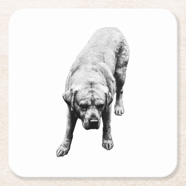 Poised Strength Square Paper Coaster (Front)