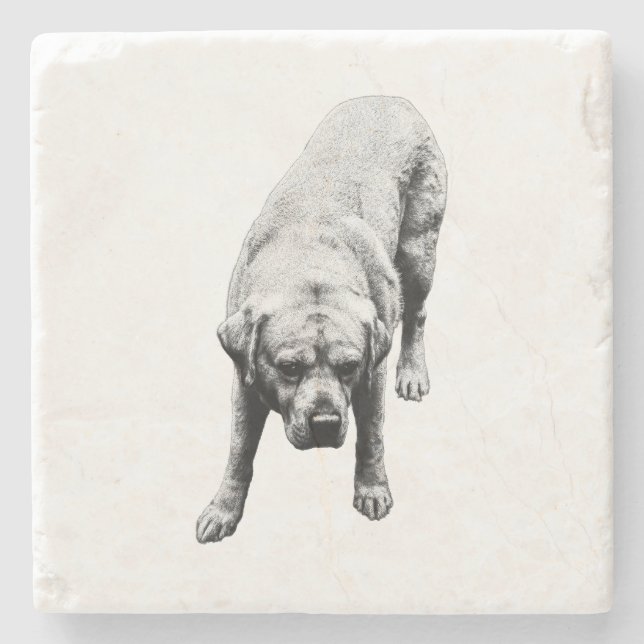 Poised Strength Stone Coaster (Front)