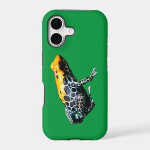 Poison Dart Frog