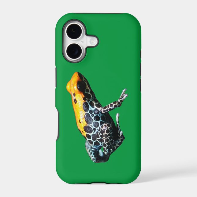 Poison Dart Frog (Back)