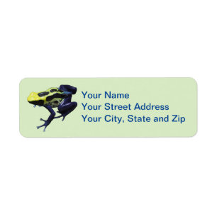 Poison Dart Frog