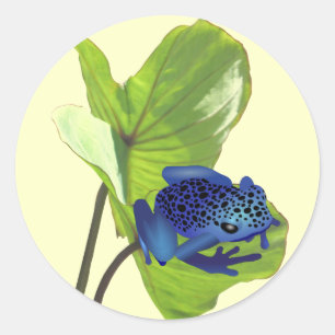 Poison Dart Frog Classic Round Sticker