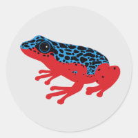 Poison Dart Frog